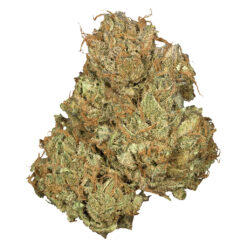 Orchid CBD | Jean Guy CBD Flower | 3.5g *