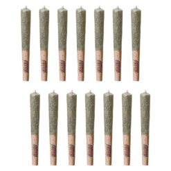 SHRED | OG Rootbeer Jar of Joints Pre-Rolls | 14x0.5g *