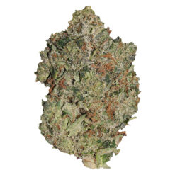 Pistol and Paris | Lindsay OG Craft Flower | 7g PROMO ~