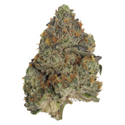 Pistol and Paris | Blue Zushi Craft Flower | 3.5g *