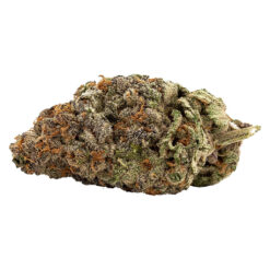 Qwest | White Walker Craft Flower | 7g * PROMO