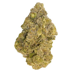 Broken Coast | Cherry Ztripez Craft Flower | 7g *