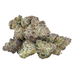 Sixty Seven Sins | Mind Playa Craft Flower | 3.5g *