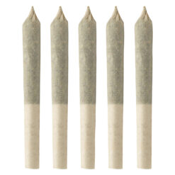 Simply Bare | BC Organic Tangerine Sunrise Pre-Rolls | 5x0.35g *