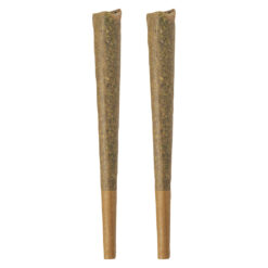 BOLD | GLAZED Sativa Pre-Rolls | 2x1g *