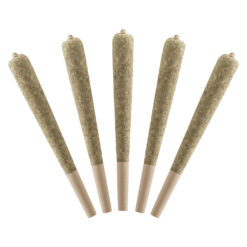 Standard Issue | Sour Green Apple Infused Pre-Rolls | 5x0.5g *