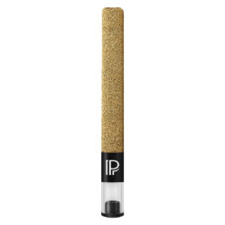 Pistol and Paris | Golden Boot Hash Infused Kief Coated Infused Pre-Roll | 1x1.5g *
