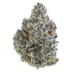 Tribal | Bubble Up Flower | 14g *