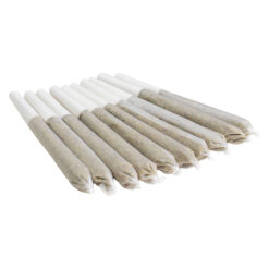 EastCann | Gastro Pop Pre-Rolls | 10x0.5g *
