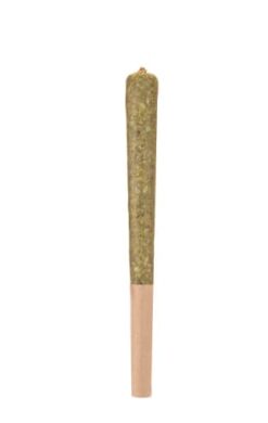 Woody Nelson | Sunset Sherbet Infused Pre-Rolls | 1x1g *