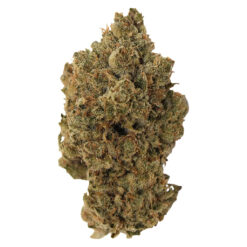 Pineapple Buds | Pineapple Haze Craft Flower | 3.5g *