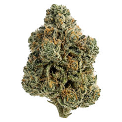 Tiki Madman | Breeders Stash Craft Flower | 7g *