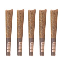 BOLD | Juicy Pineapples Diamond Infused Pre-Rolls | 5x0.4g *