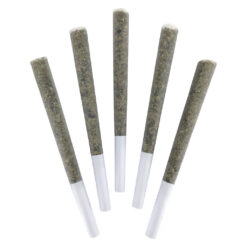 DEALR | AK47 Pre-Rolls | 5x0.5g *