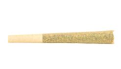 5 Points Cannabis | Gorilla Ghost Pre-Rolls | 2x1g *