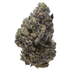 Pistol and Paris | Permanent Chapo Craft Flower | 7g *