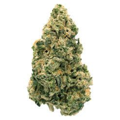 Back Forty | Galactic Jack Flower | 7g *