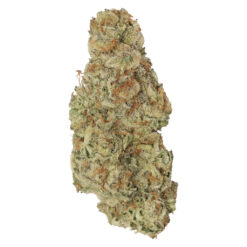 Tuck Shop | Garlic Mintz Flower | 7g *