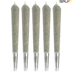 1Spliff Reserve | Candy Rain Premium Glass Tip Pre-Rolls | 5x0.5g * PROMO