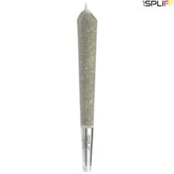 1Spliff Reserve | Quantum Kush Premium Glass Tip Pre-Roll | 1x1g * PROMO