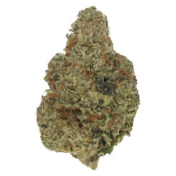 Carmel | Sherbadough Craft Flower | 3.5g *