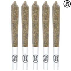 1964 | Gasolina Pre-Rolls | 5x0.5g *