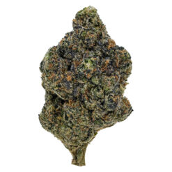 1964 | Gasolina Flower | 7g *