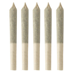 Simply Bare | BC Organic Fruit Loopz Pre-Roll | 10x0.35g *