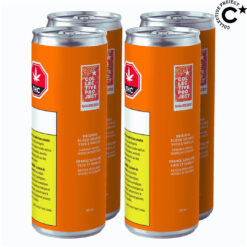 Collective Project | Original Blood Orange Yuzu & Vanilla Sparkling Juice THC:CBD | 4PK Beverage