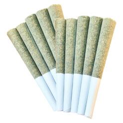 HVT | GO TIME Pre-Roll | 10x0.5g *
