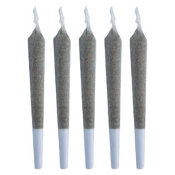 Truro | Cosmic Cookies Pre-Roll | 1x0.5g *
