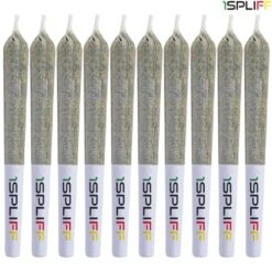 1SPLIFF | Sampler Collection Pre-Rolls | 12x0.5g *